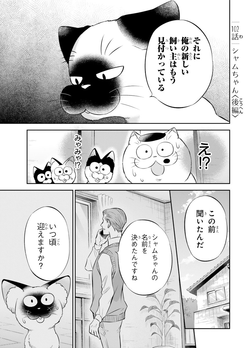 【おじさまと猫 102話(後編)】  シャムちゃん     本編の102話(後編)が更新しました!     続きはこちらです↓   comic.pixiv.net/works/4501 #おじさまと猫