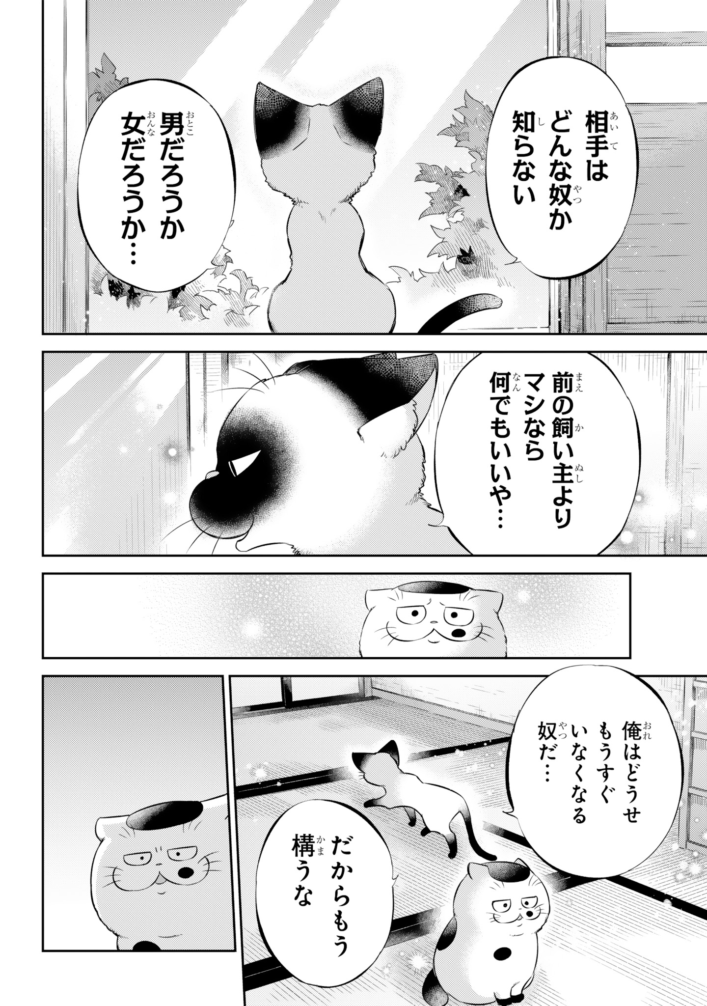 桜井海@おじ猫15巻6/12発売決定! on X: 桜井海@おじ猫15巻6/12発売決定! on X: