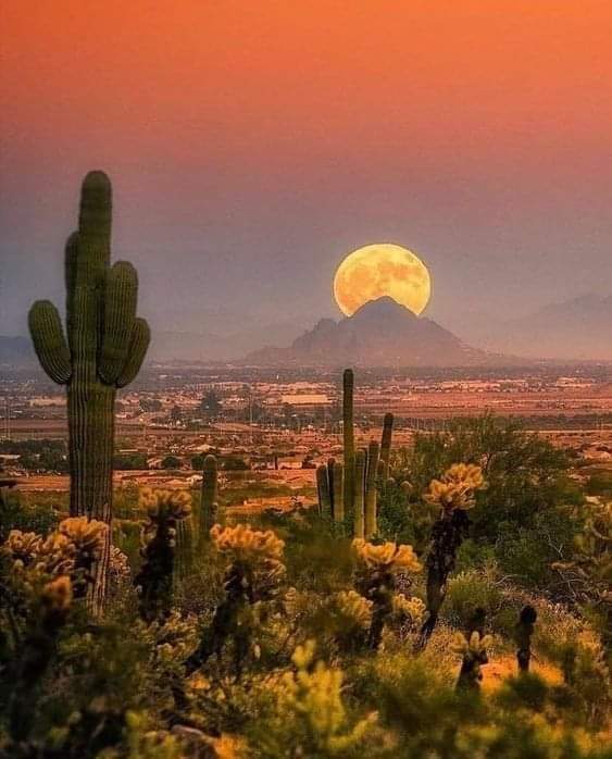 SitiosVirales's tweet photo. La Luna besando al atardecer antes de su partida.. https://t.co/o5Lw5U4T8s