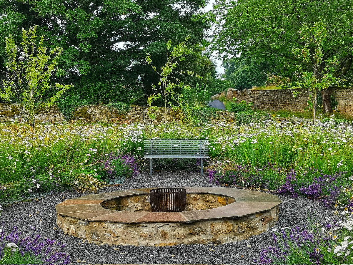 MyFaveBench's tweet image. Wild Flowers in abundance in our garden at Swinton Park. The flowers are full of bees and bugs.  Take a seat on the #Bench and enjoy nature 🐝 #wildflowers @swintonestate 
#JustPerfect  #BenchLove