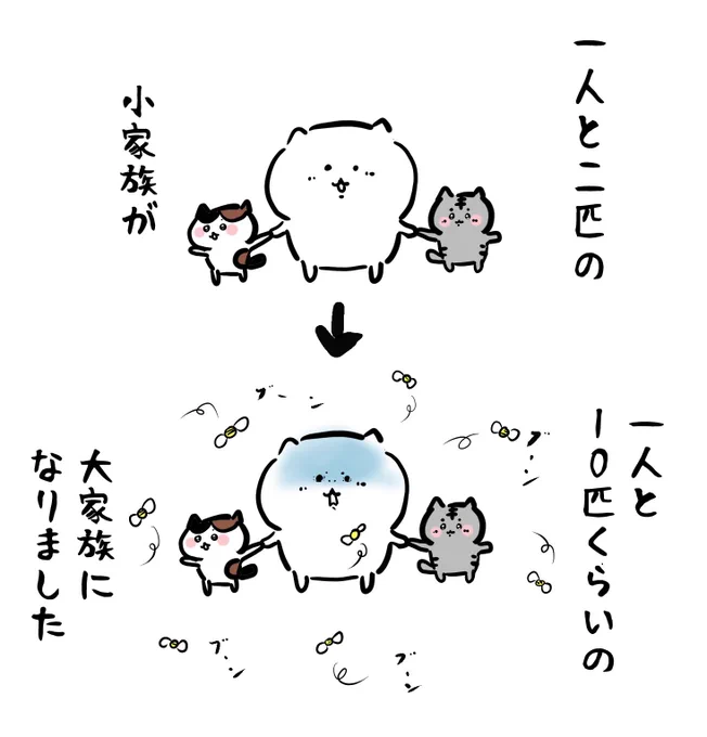 知らぬ間に増えてた家族 💁‍♂️🐈‍⬛🐈🐝🐝🐝🐝🐝🐝🐝🐝🐝