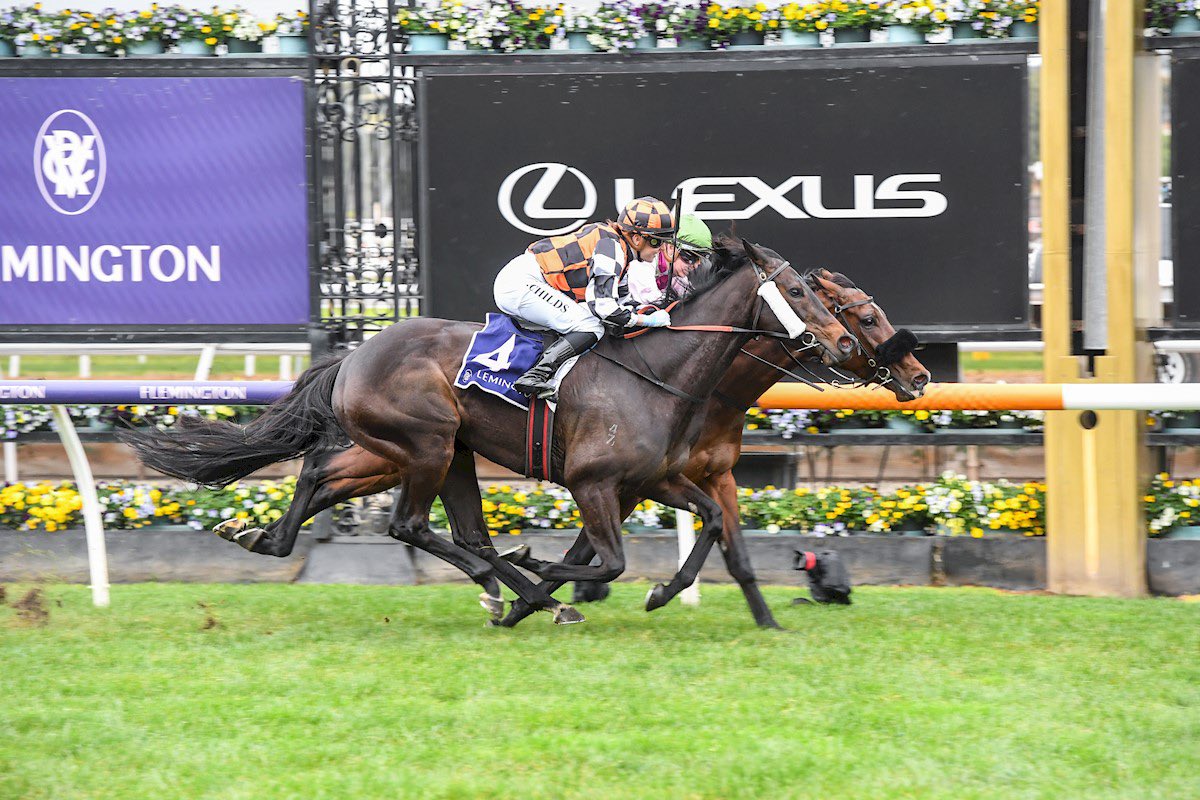 Georgia Kate tweet media