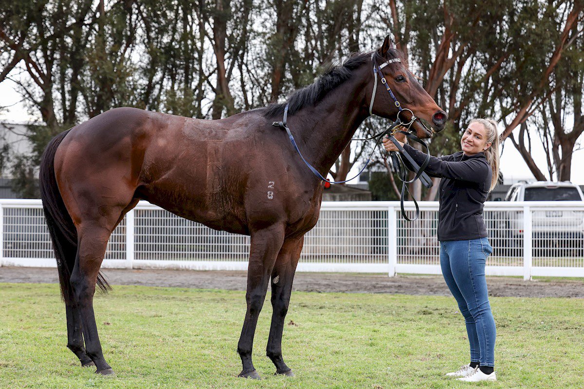 Georgia Kate tweet media