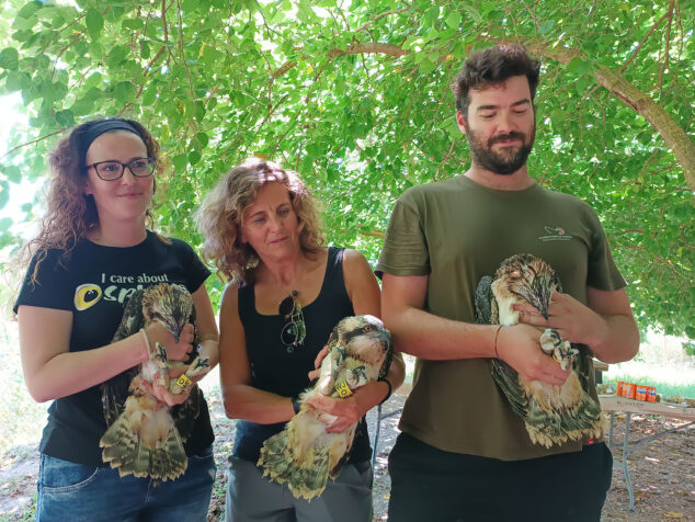 Representantes de los ayuntamientos de Pego <a href="/ajupego/">Ajuntament de Pego</a>, Oliva <a href="/AjuntamentOliva/">Ajuntament d'Oliva</a>, Dénia <a href="/ayto_denia/">Ajuntament de Dénia</a> y Xàbia <a href="/AjuntamentXabia/">Ajuntament de Xàbia</a>, impulsores de la iniciativa de reintroducción del águila pescadora en la zona, nos han acompañado en la llegada de las nuevas crías. Tres de los polluelos👇