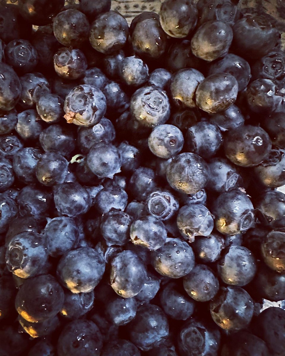 cmcfarlinfamily's tweet photo. It’s the last weekend to enjoy cherries, blueberries, and Cara Cara oranges! Make sure to get some from our stand in this Sundays market. See you there #atwatervillage #santamonica #studiocity #blueberry #cherries🍒 #caracara #organic #lastchance https://t.co/Aki5QfAKmj