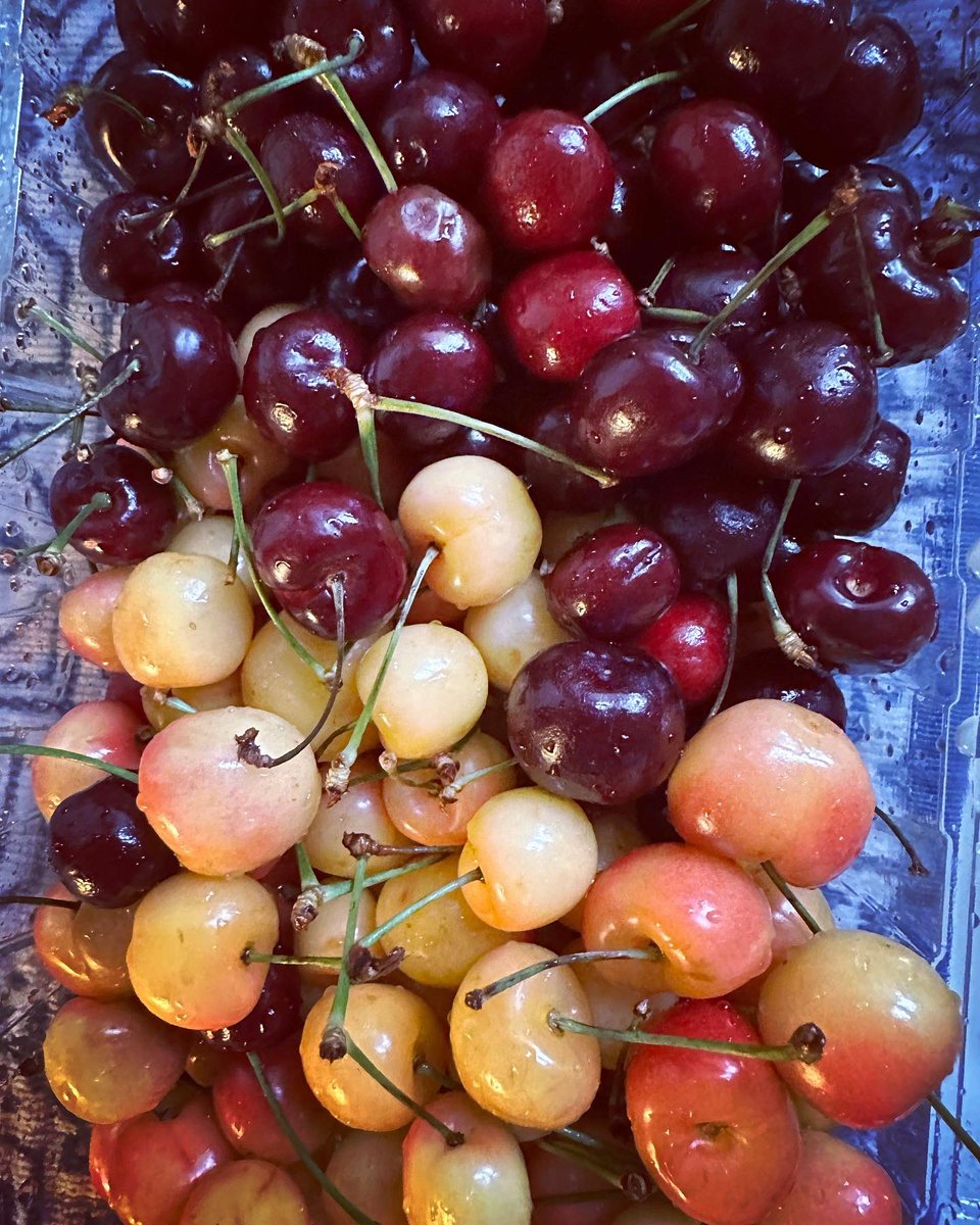 It’s the last weekend to enjoy cherries, blueberries, and Cara Cara oranges! Make sure to get some from our stand in this Sundays market. See you there #atwatervillage #santamonica #studiocity #blueberry #cherries🍒 #caracara #organic #lastchance