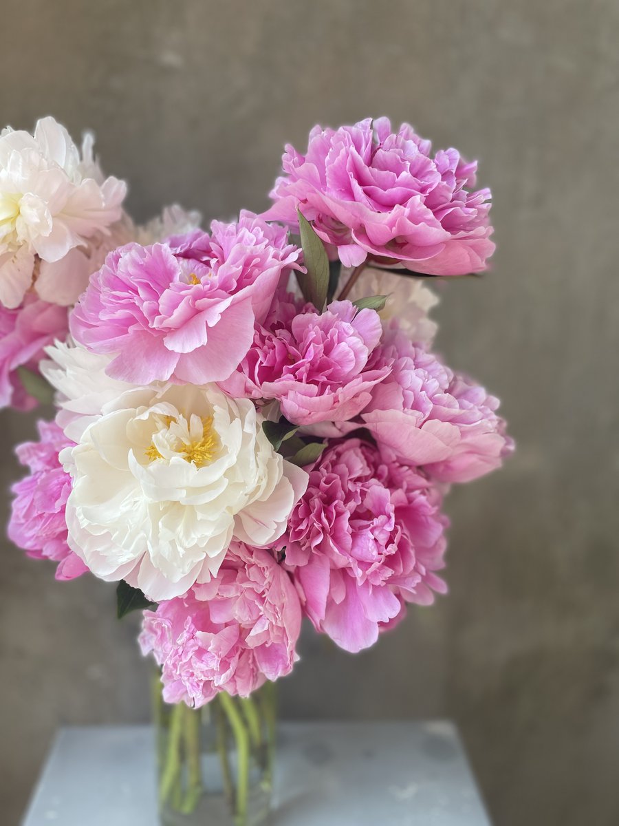 Vinetta Flower Gallery tweet media