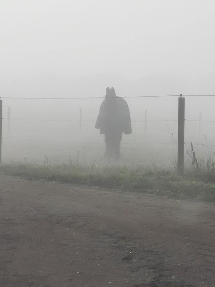 Oh my word,when I saw this early this morning 
I thought it was Batman !
But when I got closer I realised it was just a horse with a coat on !