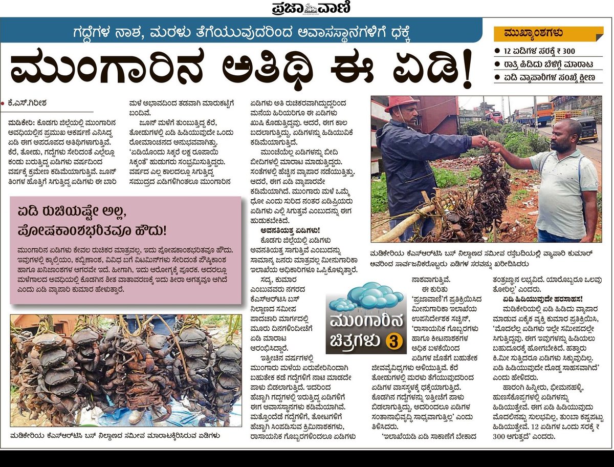 girisha2016's tweet photo. ಕೊಡಗು ಜಿಲ್ಲೆಯಲ್ಲಿ ವರ್ಷದಿಂದ ವರ್ಷಕ್ಕೆ ಕಡಿಮೆಯಾಗುತ್ತಿದೆ ಏಡಿಗಳ ಸಂತತಿ...ಮನೆಯ ಸದಸ್ಯರಂತಿದ್ದ ಏಡಿ ಈಗ ಅತಿಥಿಯಂತಾಗಿದ್ದಾನೆ...
#scrab 
#environment 
#Research https://t.co/inEPyZcxRh