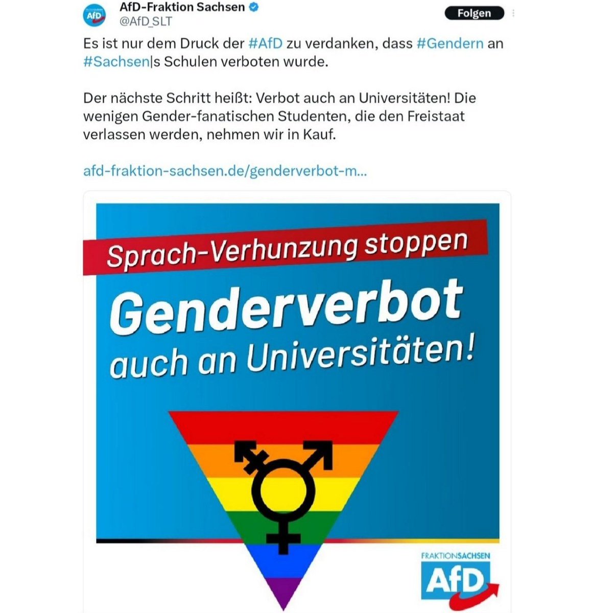 AfD-Antrag: Deutsche Flagge statt Regenbogen-Ideologie an Schulen