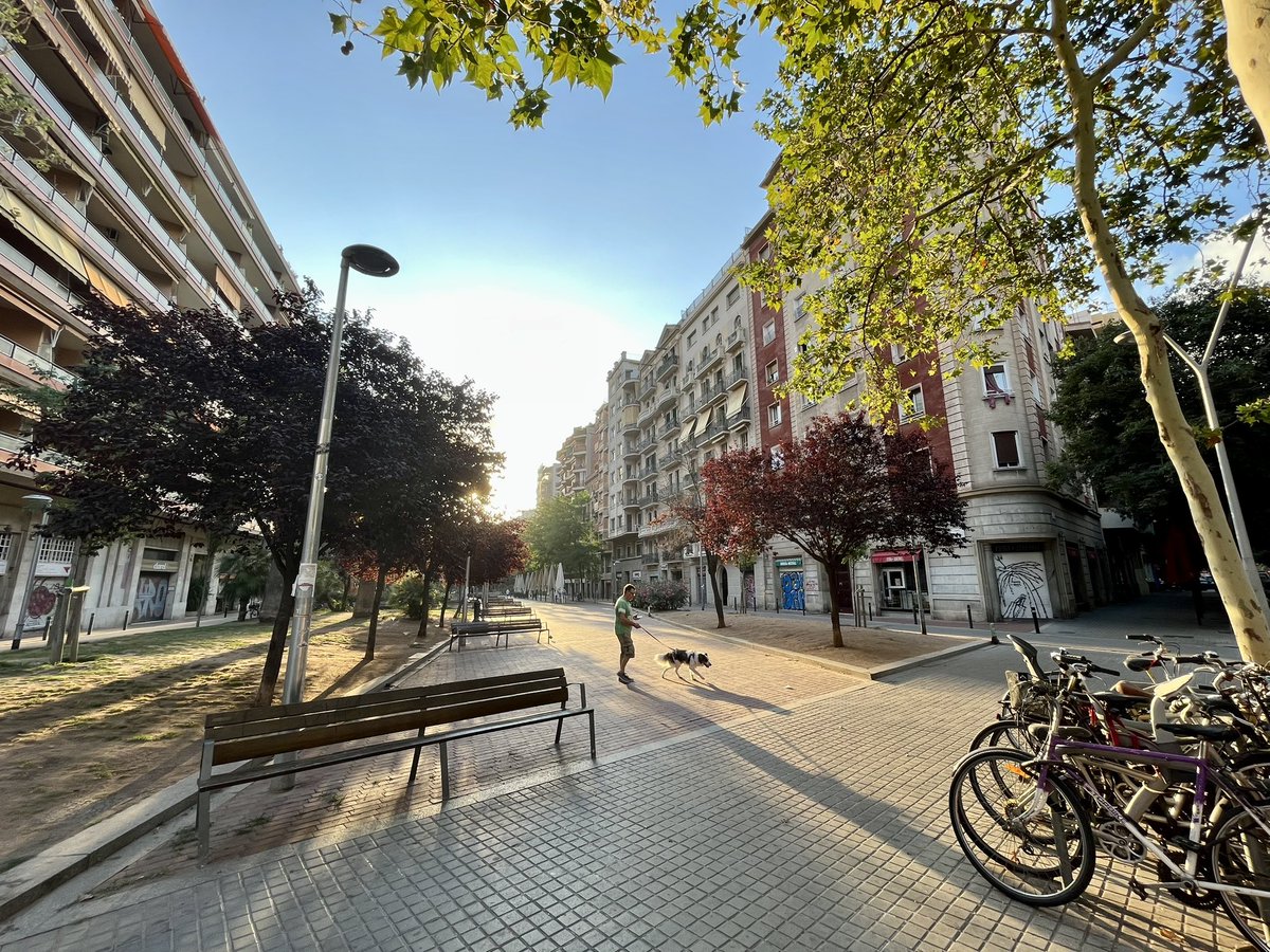 Barcelona Singular tweet media