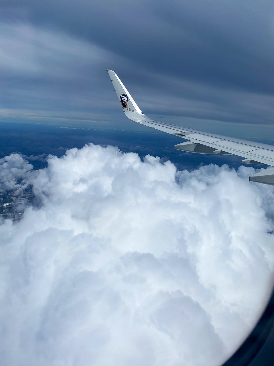 Kelbee ʕ•́ᴥ•̀ʔっ tweet media