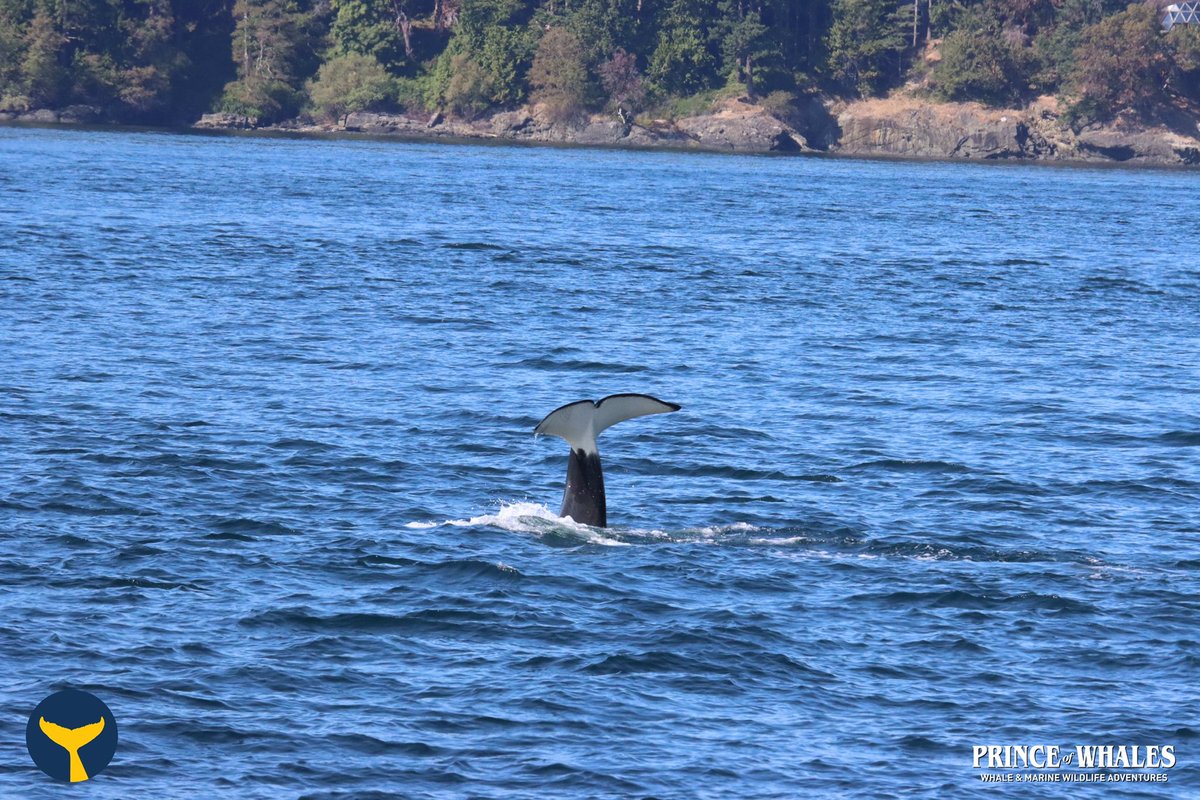 Ashley Meehan tweet media