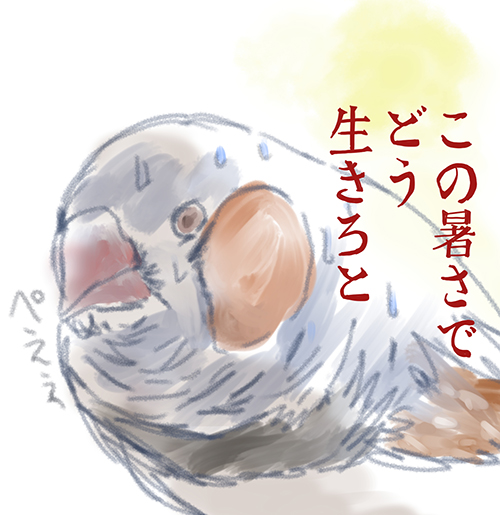 t_naru_guttata's tweet photo. 明日と明後日の気温見たらげっそりした。

＃キンカチョウ https://t.co/KpOXEkuMzs