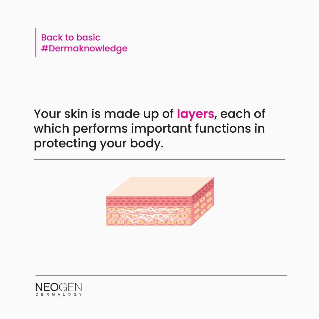 Neogenindonesia's tweet photo. Happy Weekend Dermafriends !
Kenalan yuk sama sesi #DermaKnowledge! Kita awali dengan topic tentang skin-barrier!
Apa itu skin barrier? apa yang bisa merusak skin barrier, dll!
Apa kamu sudah menjaga skin barrier kamu hari ini?
#NeogenIndonesia #NeogenDermalogy https://t.co/USwogK2bDE