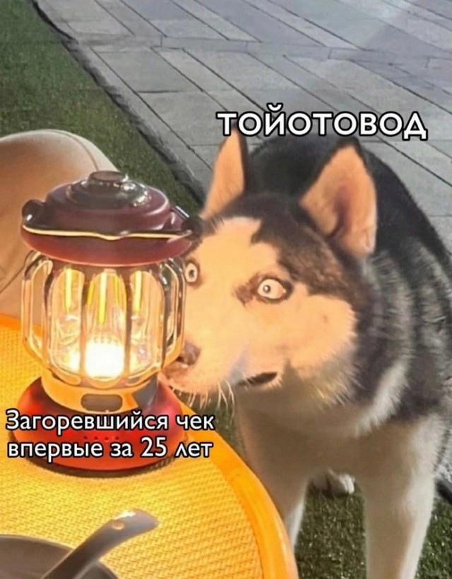 🕛🕒Theft of Time 🕕🕘 (@theftoftime) on Twitter photo 