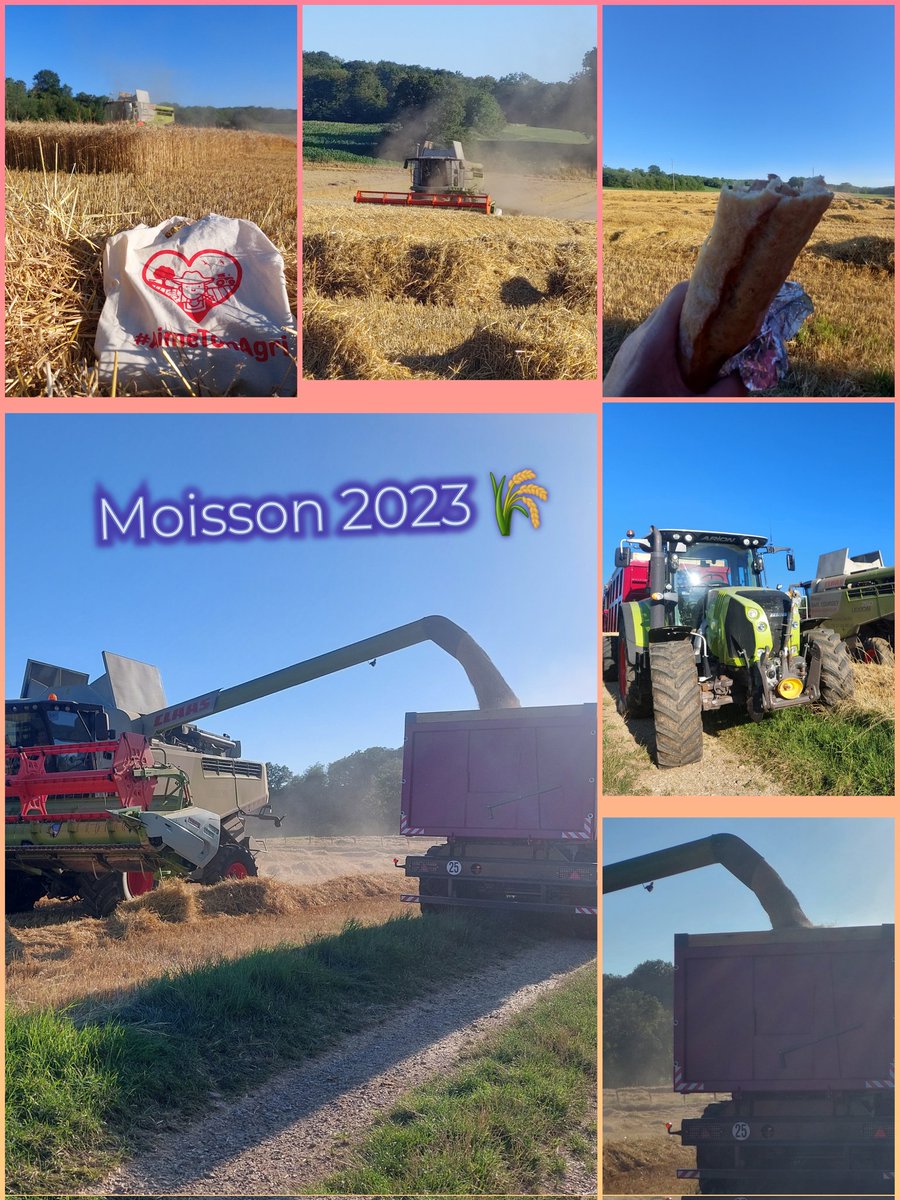 agricultrice25's tweet image. #FrAgriMoisson2023
Moisson 2023 terminée.
@Agridemain @Fragritwittos 
#AimeTonAgri #Ceuxquifontdescereales 
@PassionCereales @FrancoisArnoux @baptistemmt
