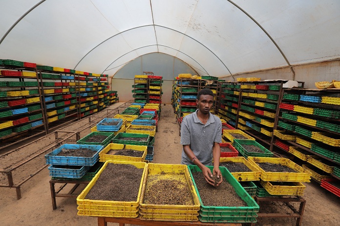 Destin Africa tweet media