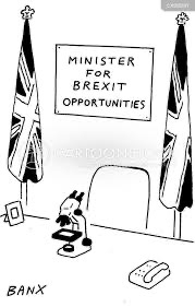 Jacob Rees-Mogg is so patriotic he pays almost no tax, has moved all his businesses to Ireland, has an Irish passport and is registered for tax in the Cayman Islands tax haven.  

He truly is the ideal of Brexit, a flag waving, tax dodging, passport changing charlatan.