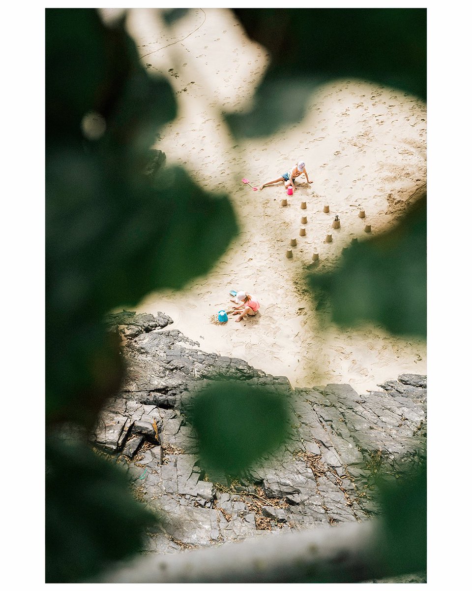 Dan Baker tweet media