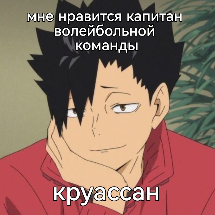 Я не могла не
