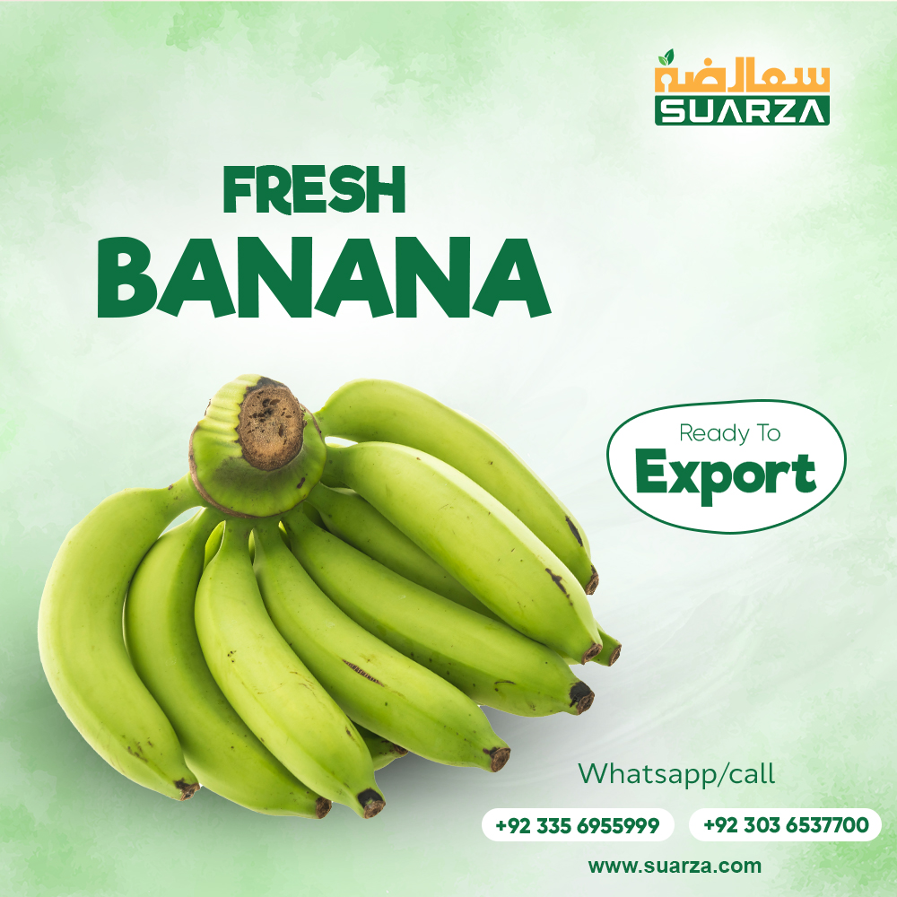 suarzagroup's tweet photo. Fresh Banana Ready To Export
Order Online
https://t.co/4pDjXKl2aF
Contact Us
+92 335 6955999
+92 303 6537700
#suarza #ready #Export #Banana #Pakistan https://t.co/ftYeJ94CWk