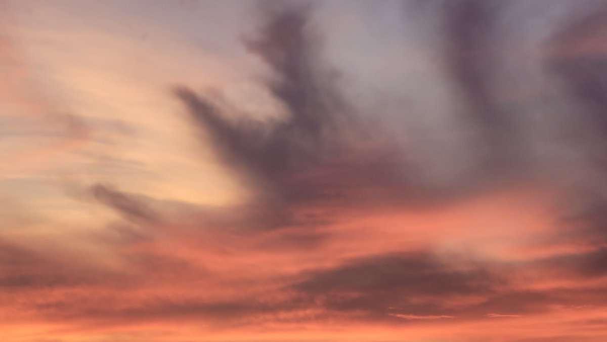 SpaceCoastSkies's tweet photo. Sky abstracts #sunrise #flwx #SpaceCoastSkies #lookup #art #HisArt #skyabstract #paintedsky
#2~ #portrait or #landscape? https://t.co/Bwe5CupeKt