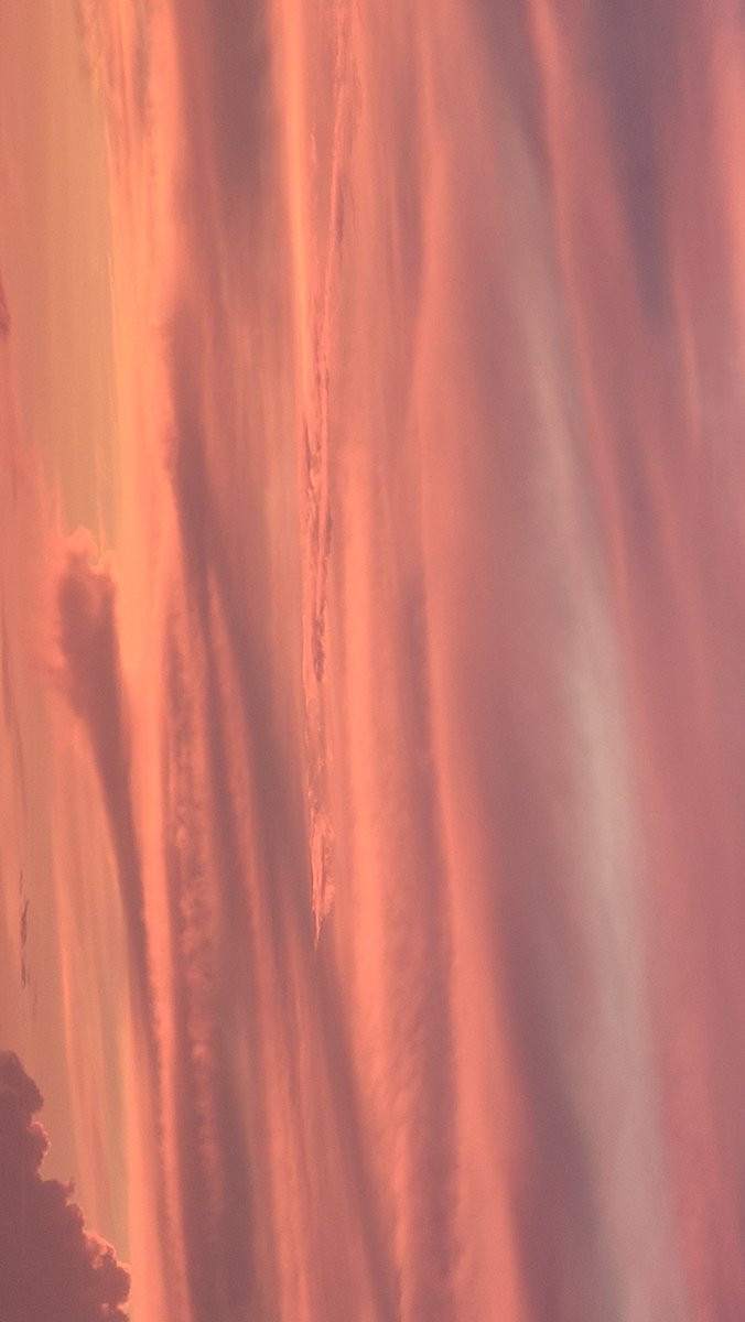 SpaceCoastSkies's tweet photo. Sky abstracts #sunrise #flwx #SpaceCoastSkies #lookup #art #HisArt #skyabstract #paintedsky
#2~ #portrait or #landscape? https://t.co/Bwe5CupeKt