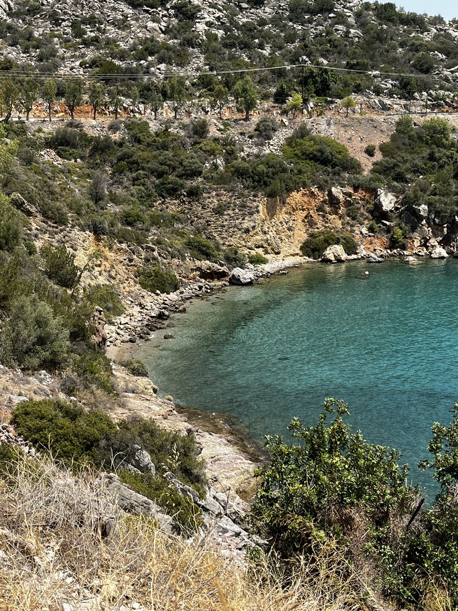 andrkary's tweet image. 