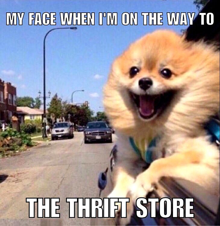 keytrainingctr's tweet image. Happiness is 🐶. 
Four locations to serve you. 
OPEN 7 DAYS A WEEK! 
820 S Suncoast Blvd, Crystal River
1625 W. Main St, Inverness
5337 W. Gulf to Lake Hwy, Lecanto
6761 County Road 148, Wildwood