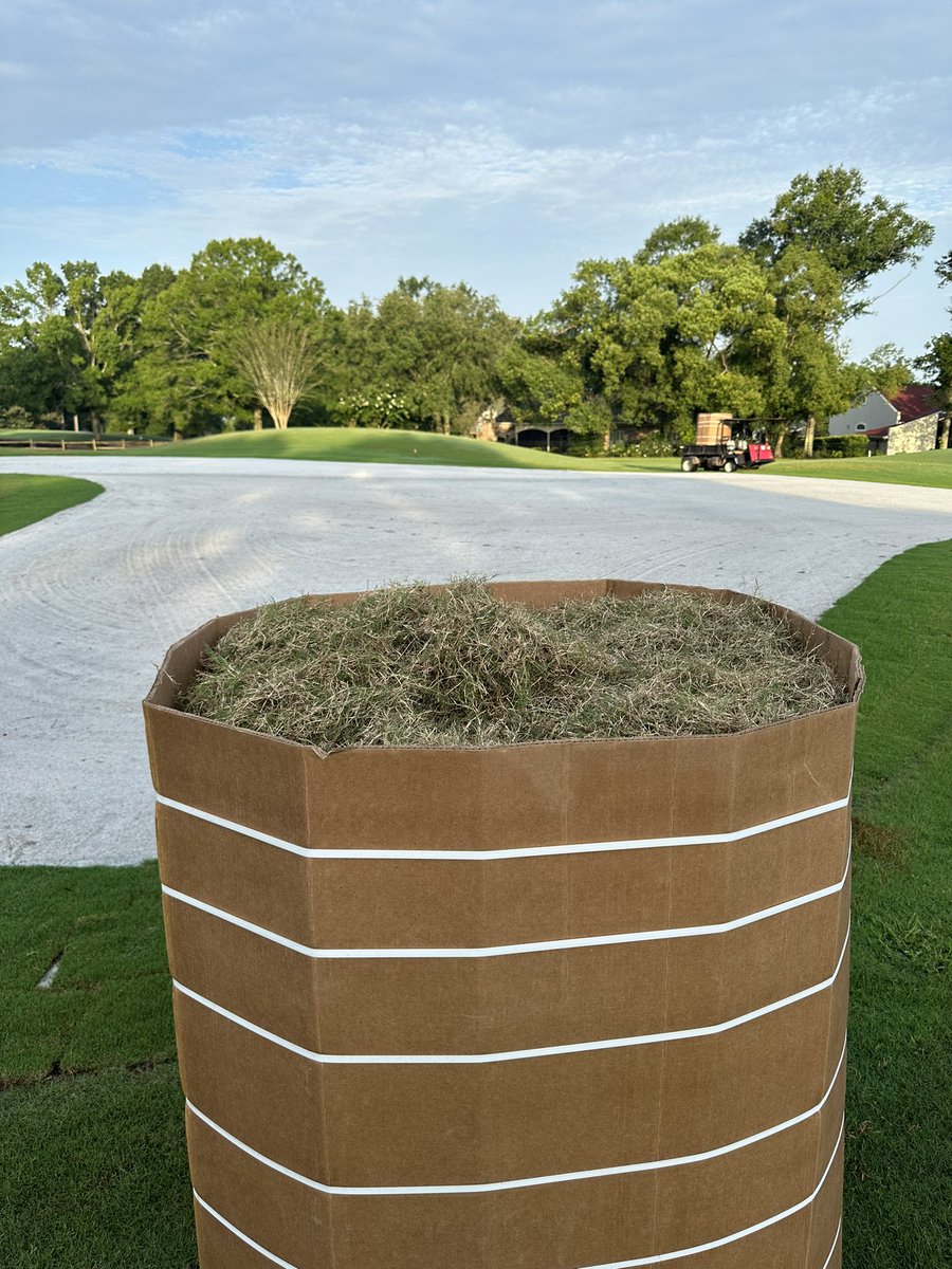 Time to plant these greens! Let the grow in begin!