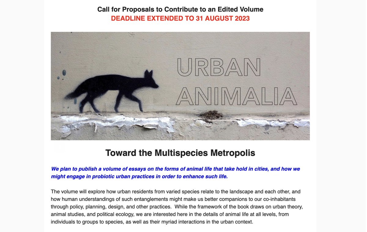 Mine Yıldırım tweet media