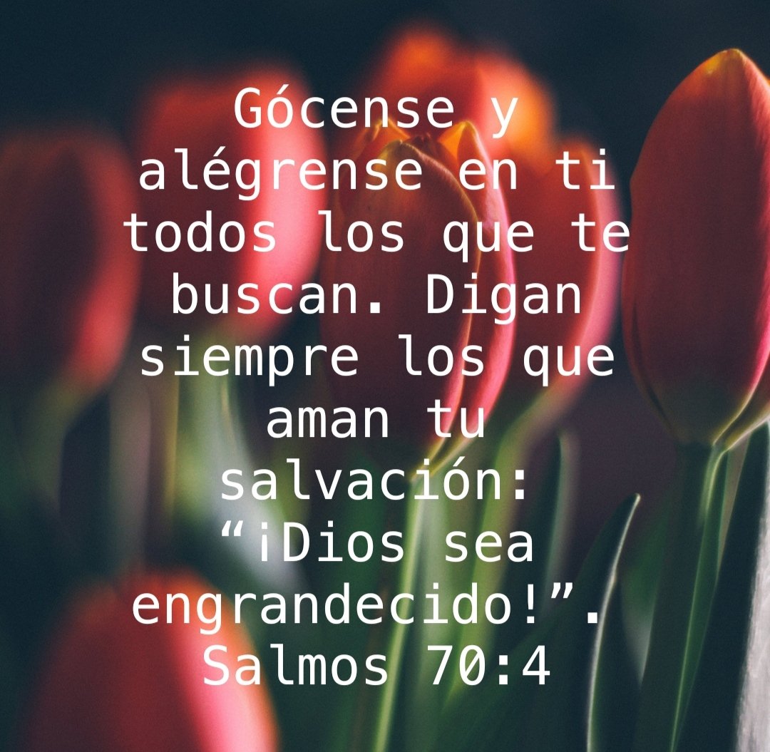 elva7310's tweet photo. Encontramos gozo en Dios cuando nos sabemos librados y salvos a su lado , lo alabamos por su gracia y misericordia. Que hoy sea un día feliz a su lado.
#Salmo70 #rpsp #MiBibliaDice https://t.co/SPcYZVUqAv