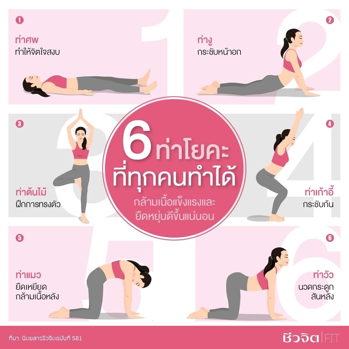 Kumpha_TH's tweet photo. อยากฝึกโยคะแต่กลัวทำท่าไม่ถูก ต้องลอง 6 ท่านี้ ที่เราคอนเฟิร์มว่า ง่าย! ลองทำตาม กล้ามเนื้อแข็งแรงและยืดหยุ่นดีขึ้นแน่นอน
.
#ชีวจิต #หุ่นดี #โยคะ #fitandfirm https://t.co/5b4lhAZC54