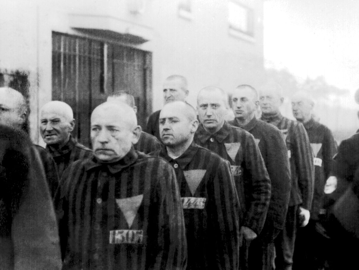 Nicoles44180590's tweet photo. Ist sicher nur Zufall, dass dieses Symbol gewählt wurde.
Glaubt mir eins, die wissen genau was sie tun, kennen ALLES was Nazis verbrochen haben, benutzen SS Symbole aus Konzentrationslagern, wer glaubt an Zufall?
Es ist GRAUSAM
@BfV_Bund @NancyFaeser #AfD #Sachsen #Kretschmer? https://t.co/Uwpz9rz8qF