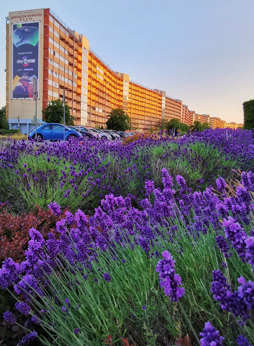 Miasto Gdańsk tweet media