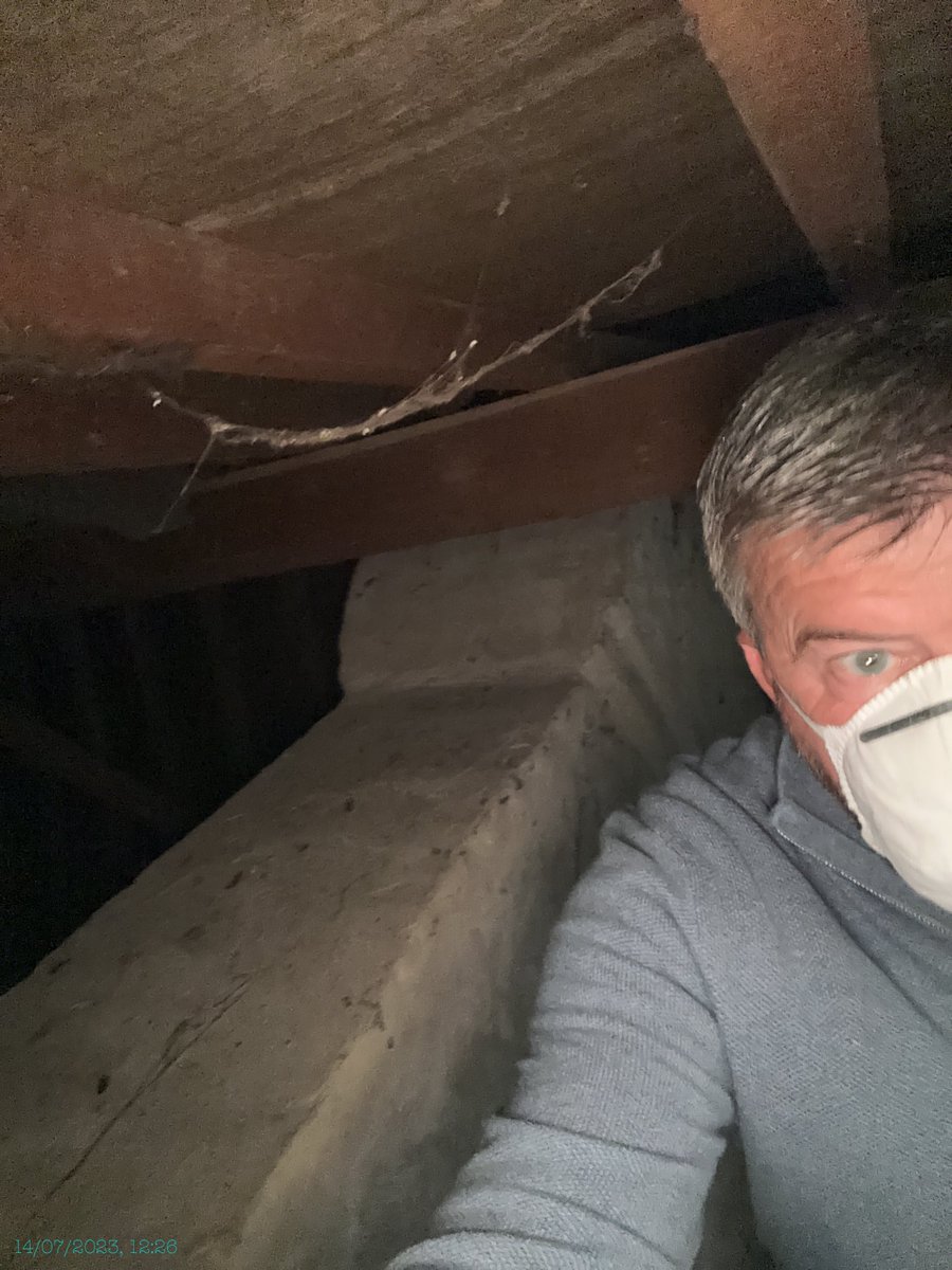 ready_surveys's tweet photo. A good eye for woodworm in this roof space on Friday #survey #property #pulborough #level2 https://t.co/uyA04iuWJK