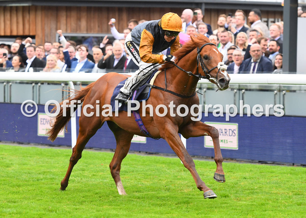 GOLDEN TRICK & @Hayleyturner123 win at Chester for trainer @hpalmerracing @MHS_HorseRacing and owners BRONTE COLLECTION 1 Check out all the official photographs at onlinepictureproof.com/officialphotog… @BritishEBF