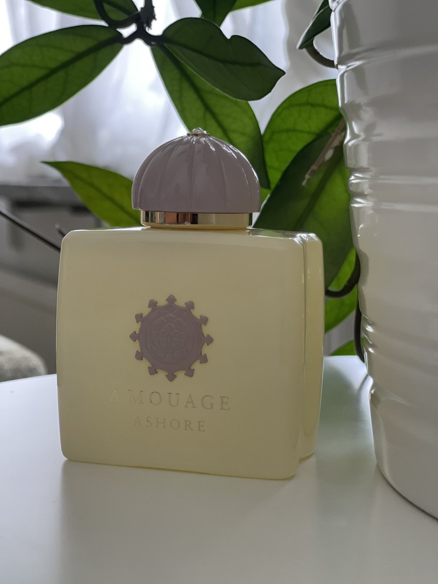 #رابطة_عشاق_العطور دفن Amouage Ashoreفي زحمه اصدارات أمواج بعد 2020 حتي أكتشفته عبر إحساس الجميل <a href="/BinSaad05/">THE RESEARCHER</a> عطر مخملي تتدفق منه نفحات الفل التهامي في حله شرقية مزجت بعبقرية الوردمع نوته شمسية والكركم وعنبر البحر لتعطي ايحاء بحري منعش كقلادة فل عقد بالصندل واللبان ترافقك يومك كله