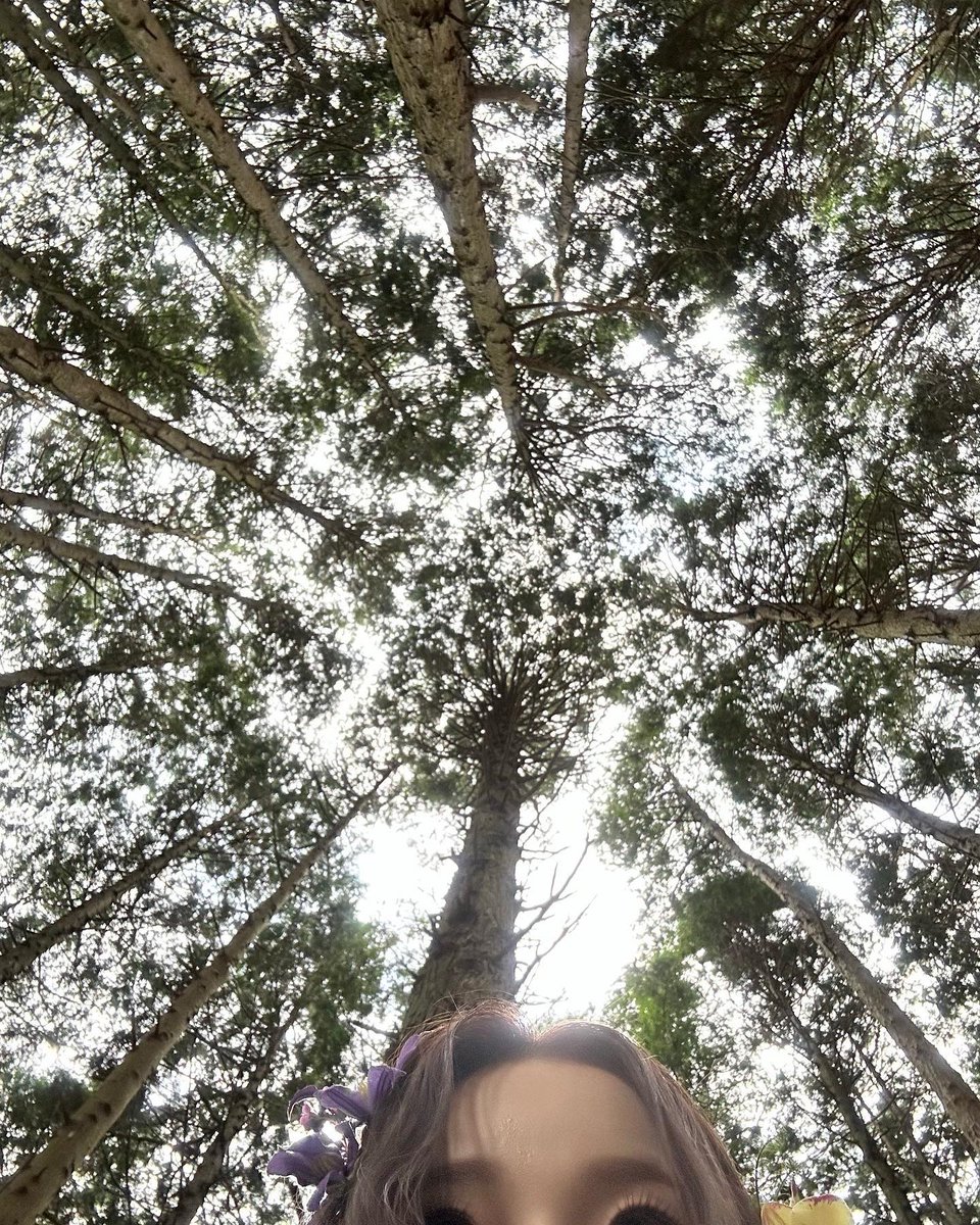 _NMIXXPH's tweet photo. [📸] 07152023 || nmixx_official Instagram Update with Kyujin (1/3)

🌳✨💐🪻

#NMIXX #엔믹스 #규진 #KYUJIN
#AMidSummerNmixx’sDream
#PartyO’Clock #RollerCoaster https://t.co/sey36lTkek