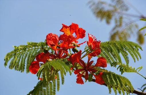 Today is a good day for a walk ☀️🚶&zwj;♀️🌸 Found lots of flowers in the park🌼🌺💐. Pleasant breeze is comfortable