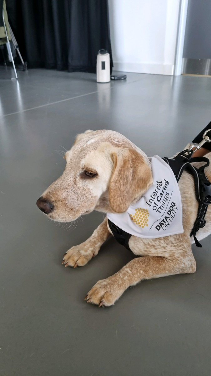 UKNICAofficial's tweet image. One of our #IoCT #DataDogs Frank hard at work displaying IoCT in action showing how #PetTech can help us to care for our pets, observe their behaviour and allow us to be better #PetParents. 

Do pets encourage healthy human behaviours?

Internet of Caring Things® (IoCT™)