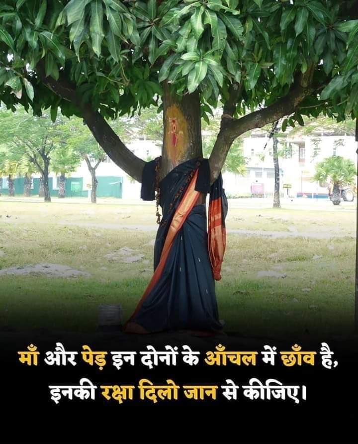 PrafullaAkant's tweet image. माँ पेड़ इन दोनों के आँचल में छॉंव हैं,इनकी रक्षा जी जान से कीजिए।

आइये हम सब मील पौदा रोपण करे धरती माँ कों हरिभरी बनाये।
#SFD
#समृद्धभारत