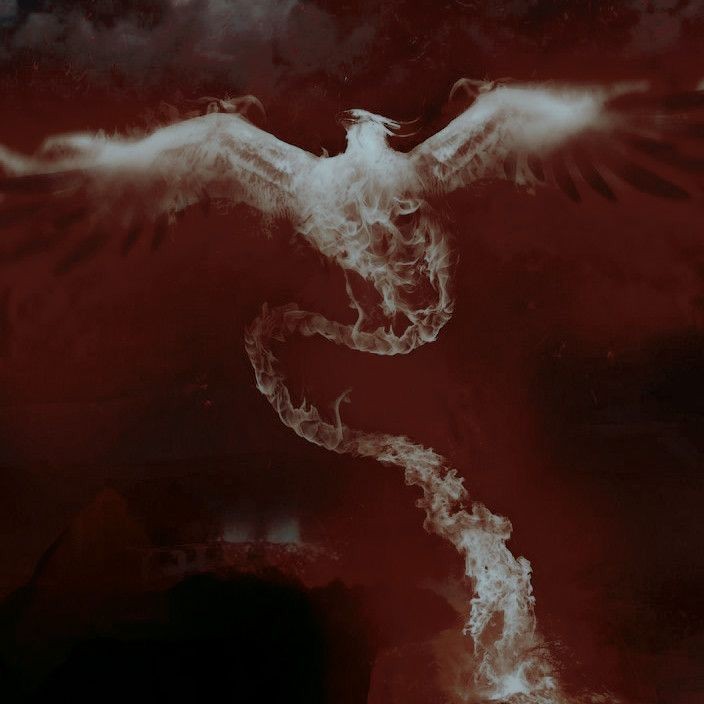 vindictiveliar tweet picture