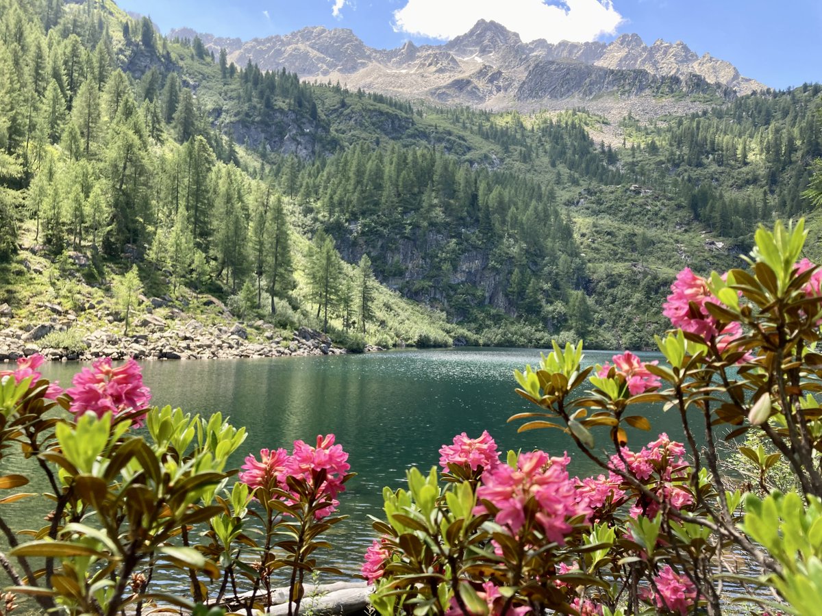 Noi siamo qua a rigenerarci, a respirare aria pura ed a ossigenare "mente e pensieri" 😍!!
❓ Vorreste esserci anche voi?? 
🤙In che bel posto siamo? 
Un saluto a tutti voi e un buon fine settimana 🥰 
#valdisolevibes 
Ph 📸 : Roberta Zambotti