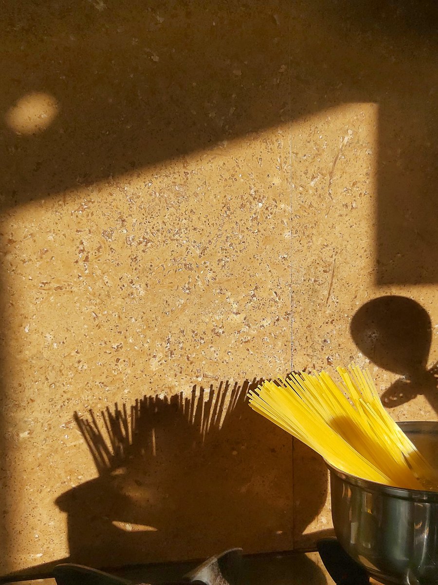 🌻|| paulina ||🌻 tweet media