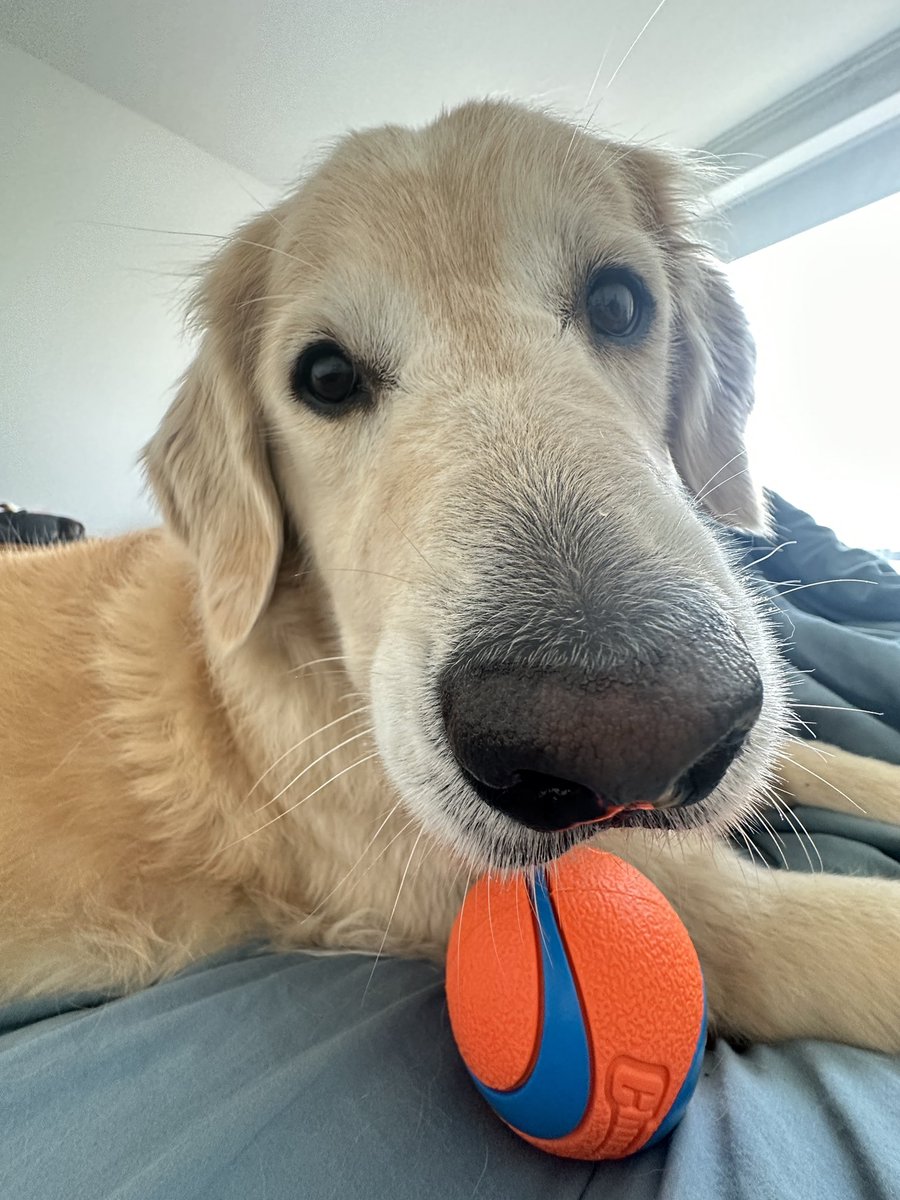 Hanalei is just checking if you listened to my new song yet 
ffm.to/daynnite