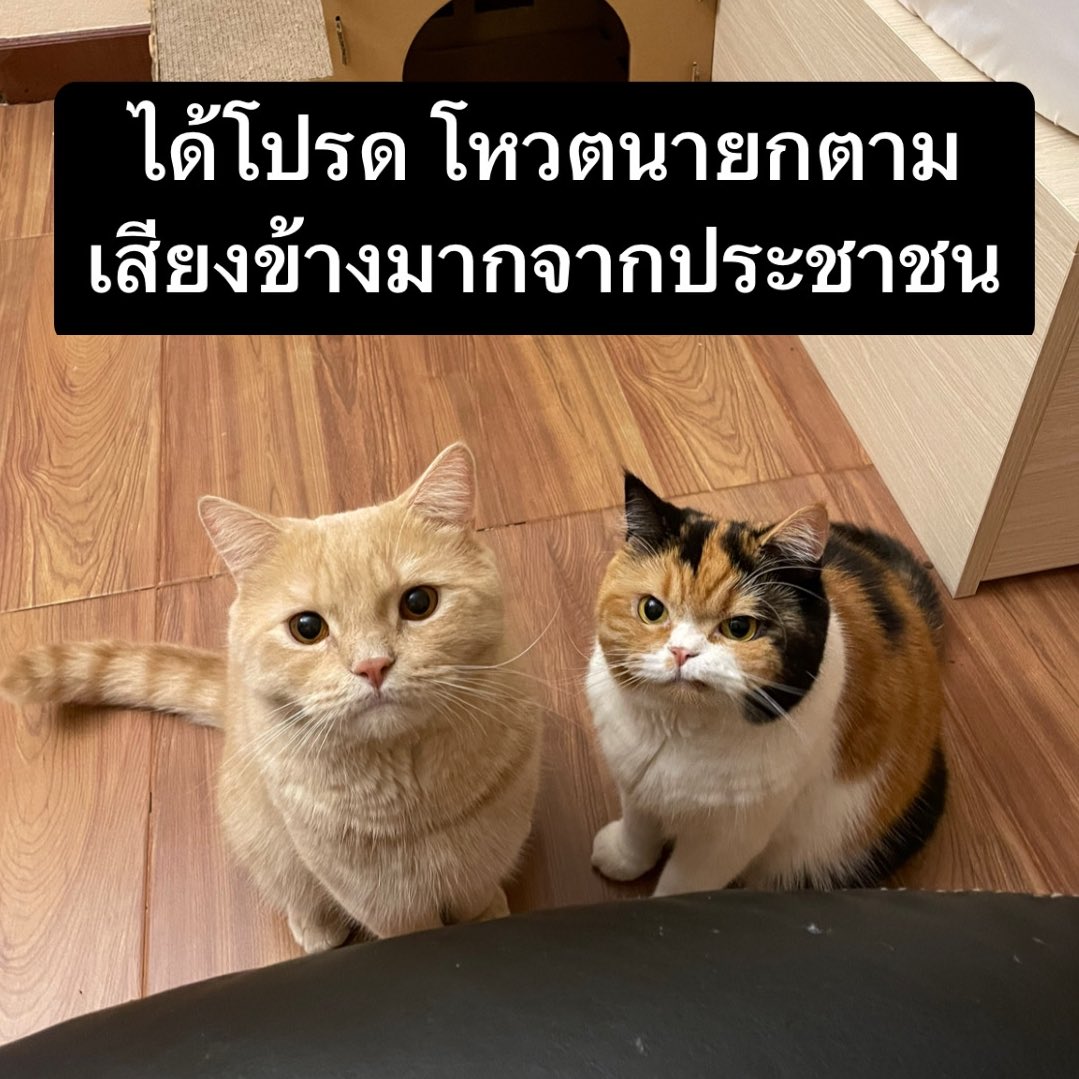 yayee2548's tweet photo. 🫵🏻 https://t.co/EumAKAnlI6