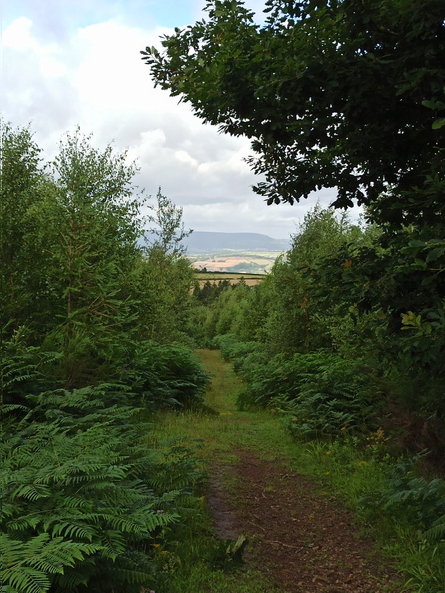 KempasUK's tweet image. Out adventurin&apos;. #screenbreak 

Back adventurin&apos; in #DayZ at 12pm BST / 7am EDT