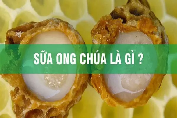 ATranAuthentic's tweet photo. Tìm hiểu viên uống sữa ong chúa loại nào tốt nhất? Chuyên gia giải đáp
https://t.co/RJySiKwCqo
#antranauthentic #antran #thucphamchucnang #chamsocsuckhoe #suaongchua https://t.co/gl5836FrA9